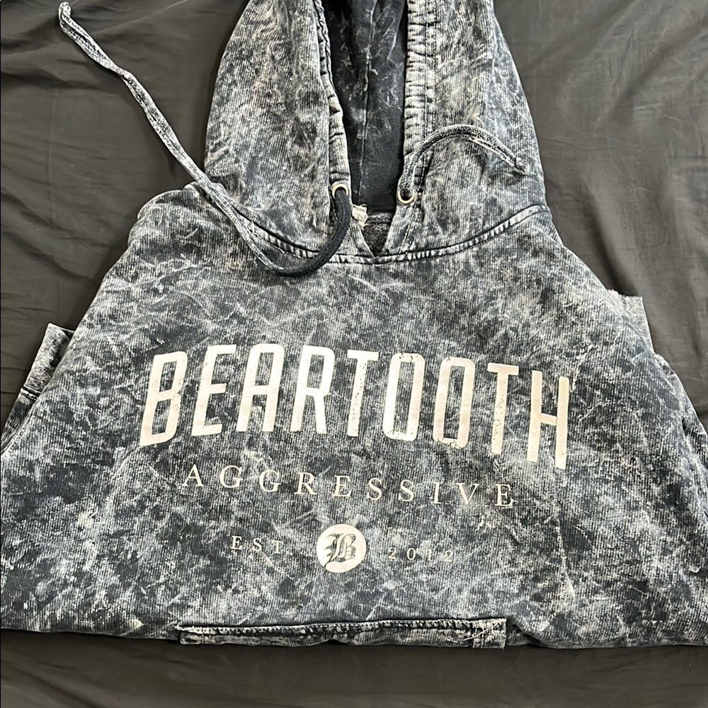 Beartooth Aggressive Hoodie